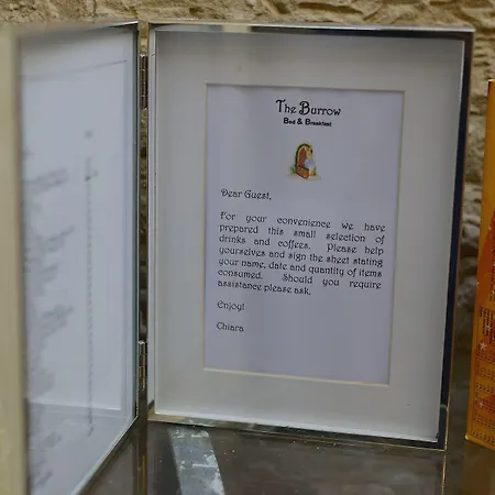 The Burrow 2*