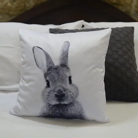 בית הארחה The Burrow 2*