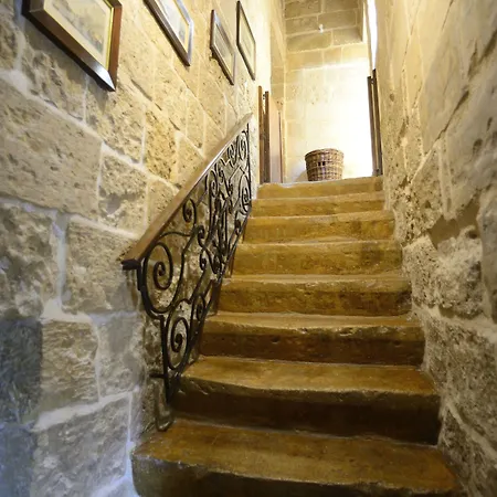 The Burrow בית הארחה