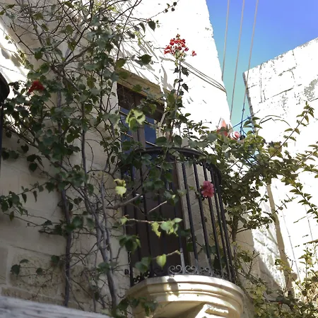 בית הארחה The Burrow Tarxien