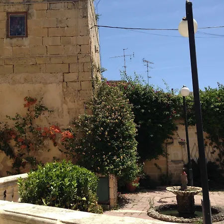 The Burrow בית הארחה