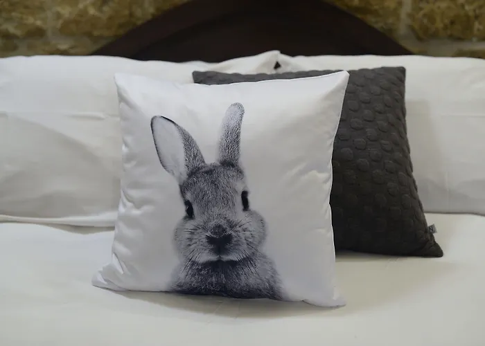 Gæstehus The Burrow 2*