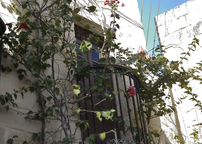 Gæstehus The Burrow Tarxien